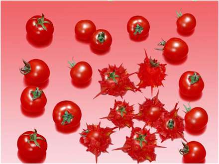 互動(dòng)投影游戲-0025